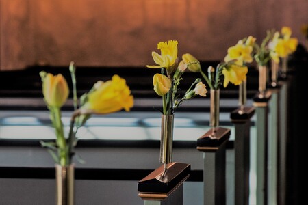 Påskeliljer i kirken Billede af kirkebænke pyntet med påskeliljer